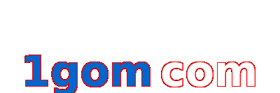 1gom com